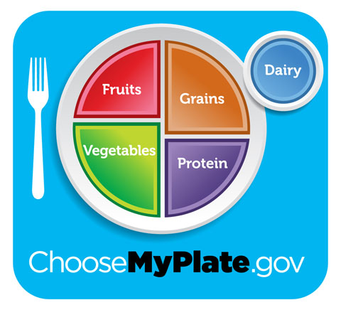 choosemyplate.gov: picture of a plate that includes  fruits, vegetables, grains, protein, and dairy