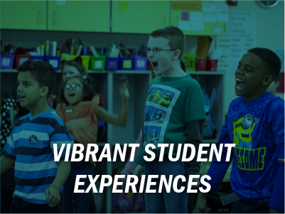 Vibrant Student Experiences