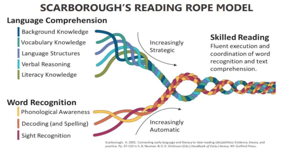 A diagram of Scarborough's Reading Rope Model. The model is described in the text of the webpage.